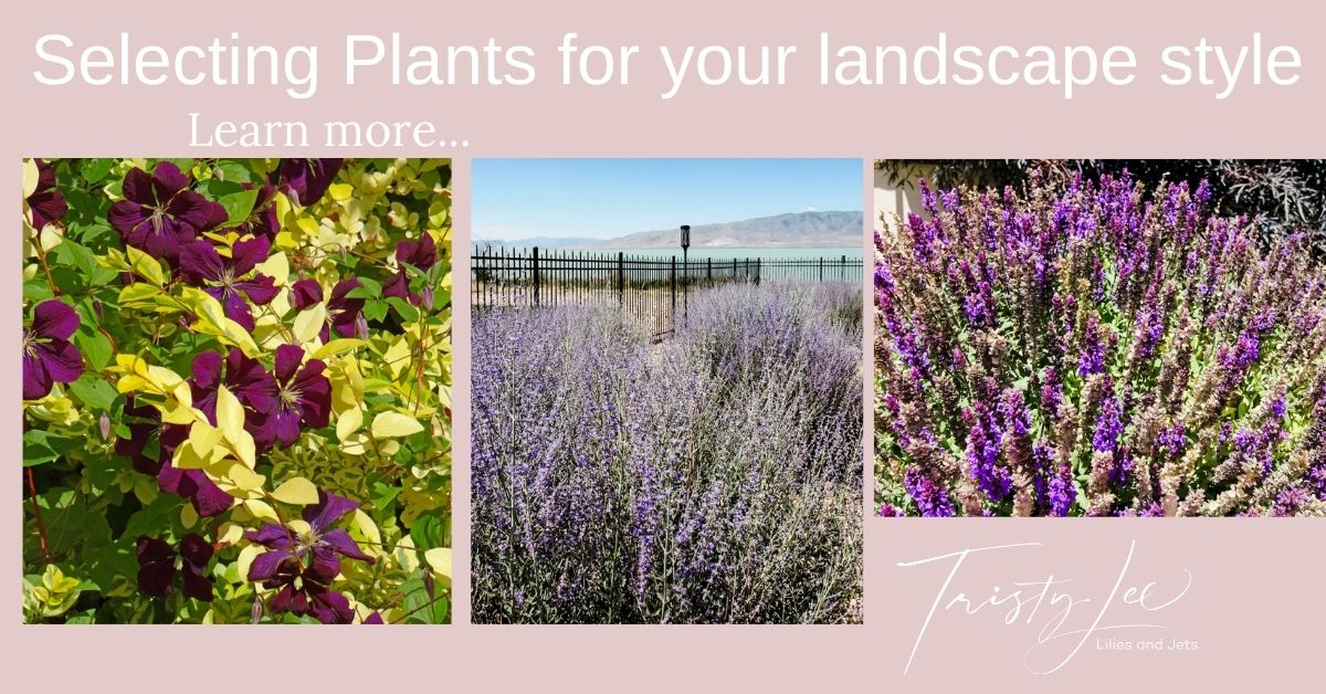 Selecting plants for your landscape style