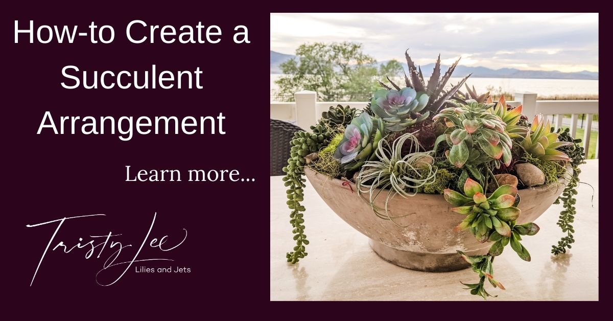 How-to create a succulent arrangement