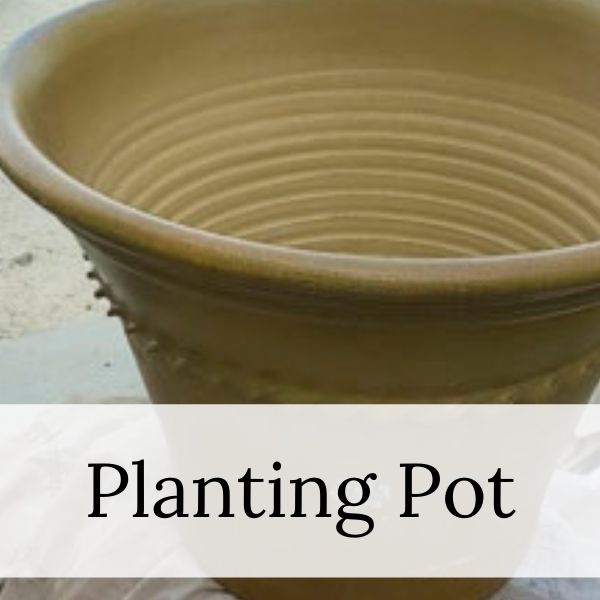 Planting Pot