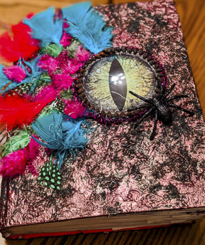 Dragon Eye Feather Witch Book